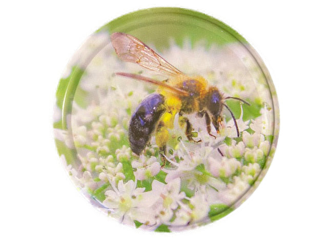 100% Real Raw Pure Organic Coriander Honey 500G Jar. Brand New Harvest.