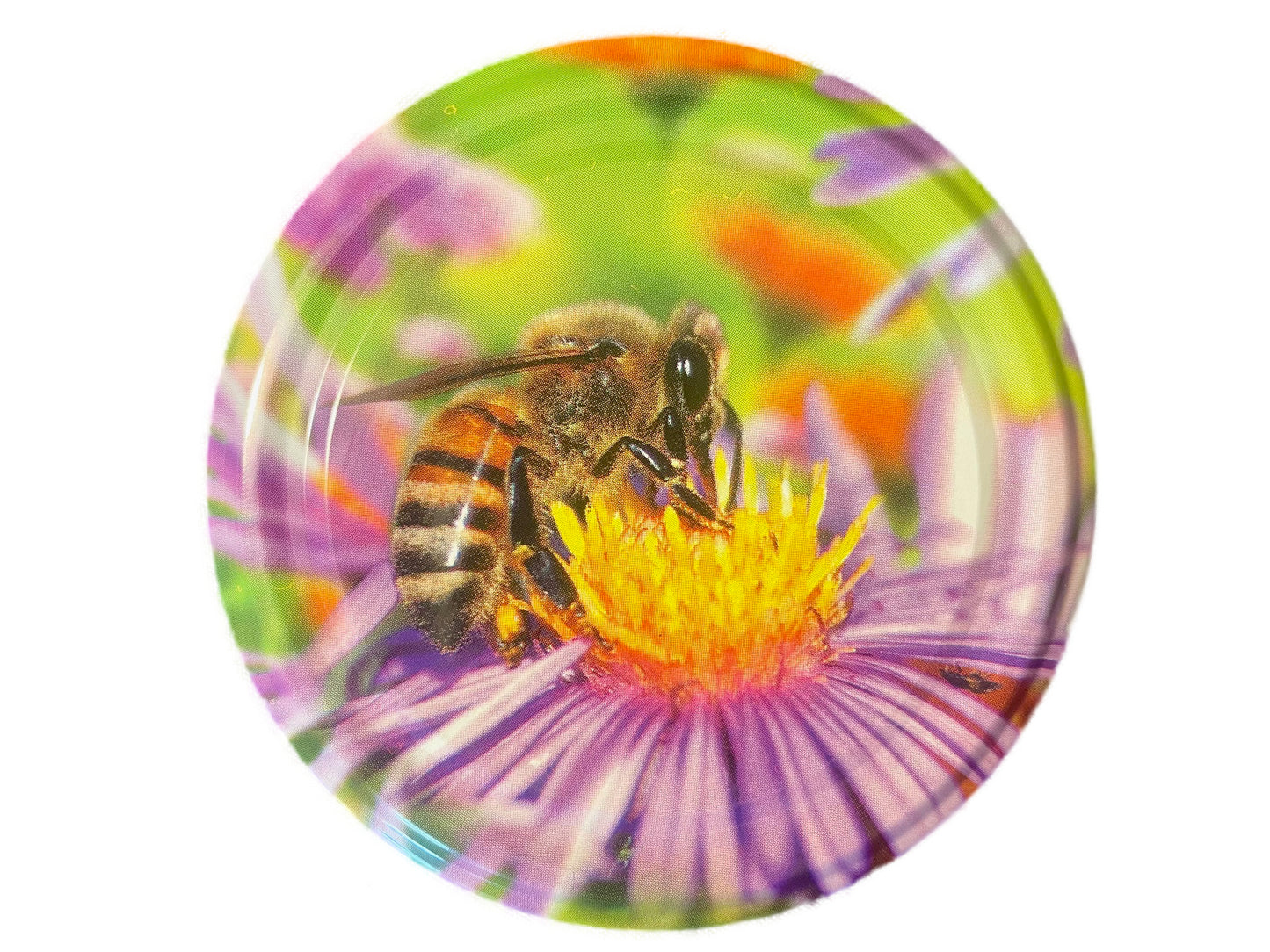 100% Real Raw Pure Organic Sunflower Honey 500G Jar. Brand New Harvest.